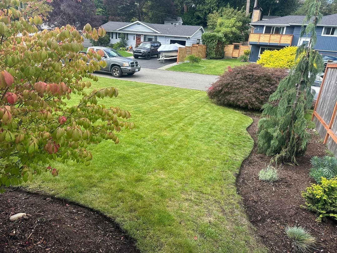 picture of a beautifully manicured residential lawn