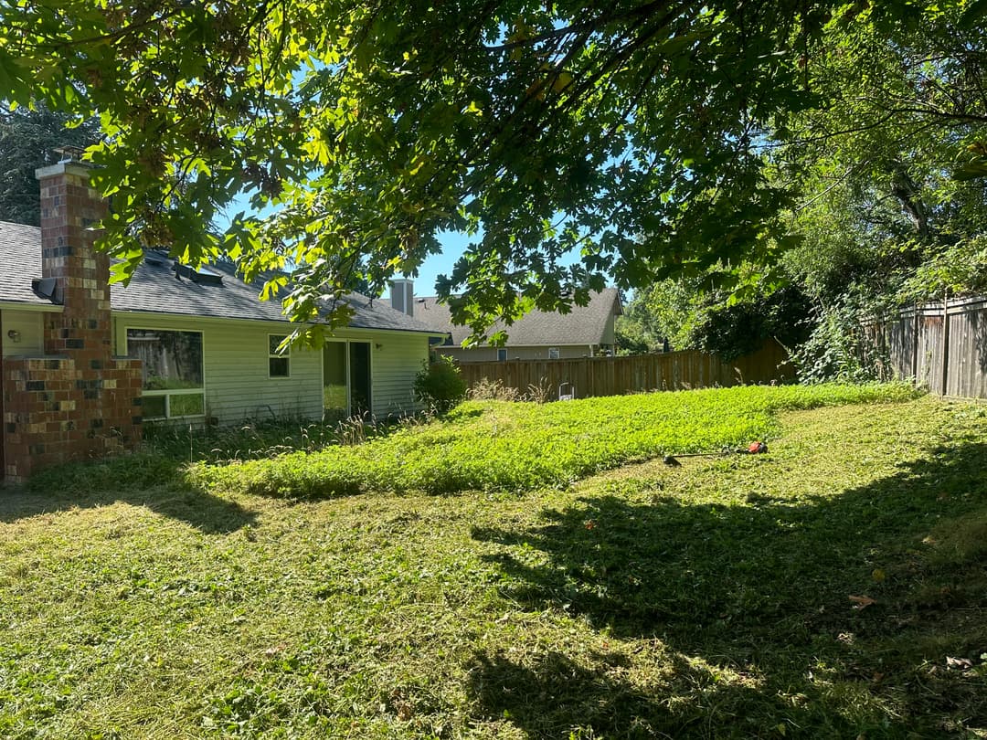 picture of a cleanup project of a residential home front yard