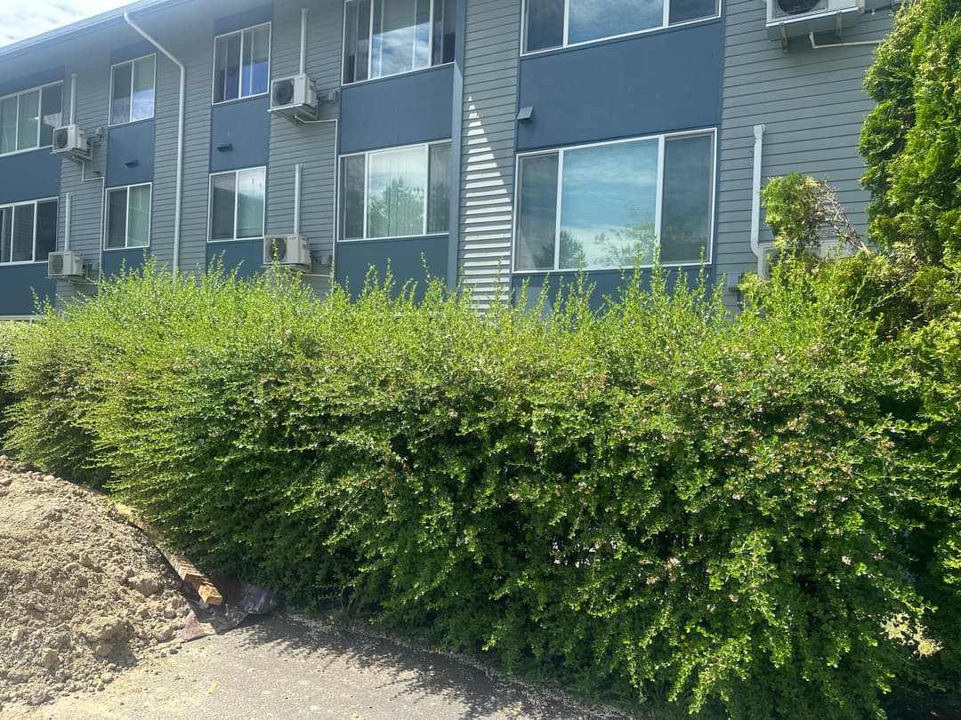 picture of bushes ready to be pruned