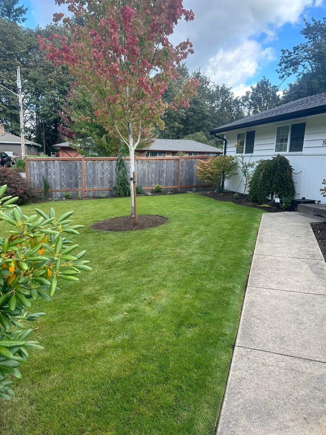 picture of a manicured and mowed lawn with beautiful landscaping work done